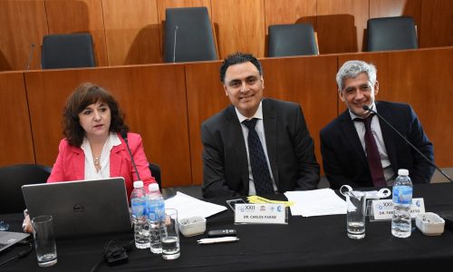 La Pampa – TICs en la capacitación judicial: su impacto en la asequibilidad, accesibilidad, adaptabilidad y aceptabilidad. La experiencia del CCJ La Pampa 2014-2018.