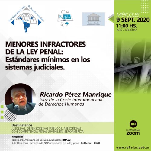 Conferencia “Menores Infractores de la Ley Penal. Estándares mínimos en los Sistemas Judiciales”. RIAEJ-REFLEJAR-CEJU