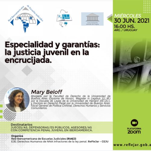 Nuevo encuentro “Especialidad y garantías: la justicia juvenil en la encrucijada”