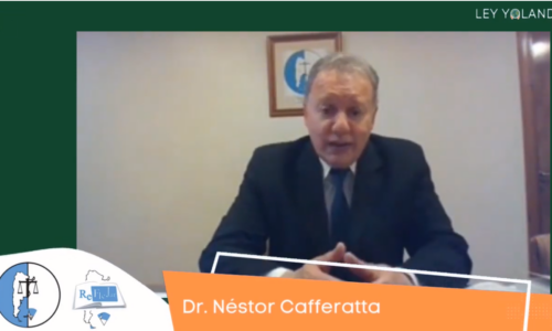 Parte 2 – Formación en Derecho Ambiental – Dr Néstor Cafferatta