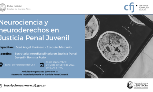 Neurociencia y neuroderechos en Justicia Penal Juvenil