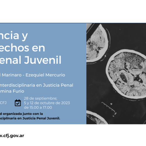 Neurociencia y neuroderechos en Justicia Penal Juvenil