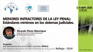 RIAEJ-Menores infractores de la ley penal